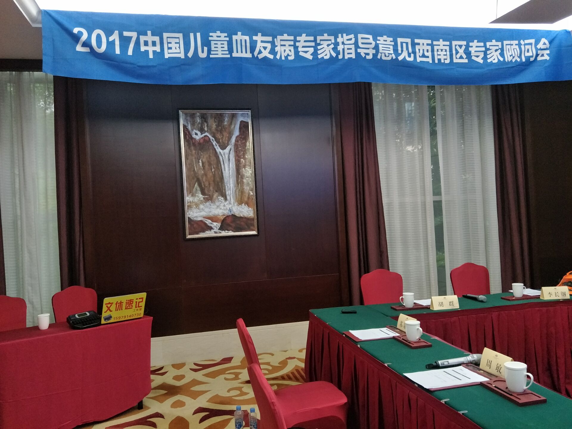 2017中国儿童血友病专家指导意见专家顾问会-西南区